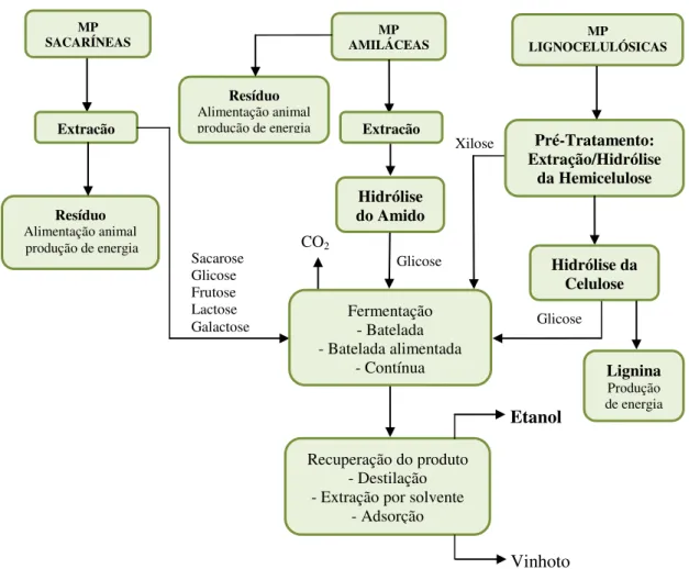 Figura  2.3  -  Rotas  Tecnológicas  para  produção  de  etanol  de  biomassas  (adaptado  de  PEREIRA JR, 1991)