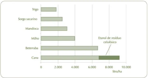 Figura 2.4 - Produtividade média de etanol por área para diferentes culturas (BIOETANOL...,  2008)
