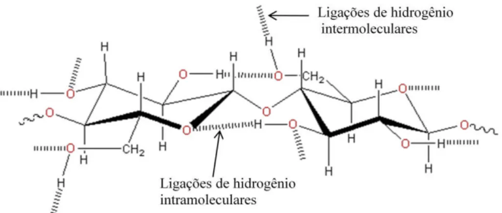 Figura 2.7 - Representação das ligações de hidrogênio intra e intermoleculares na estrutura  supramolecular da celulose (adaptado de COUGHLAN, 1985)
