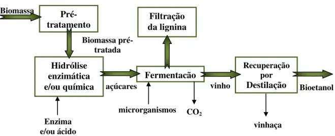 Figura 2.14  –  Processo geral para produção de etanol de segunda geração. 