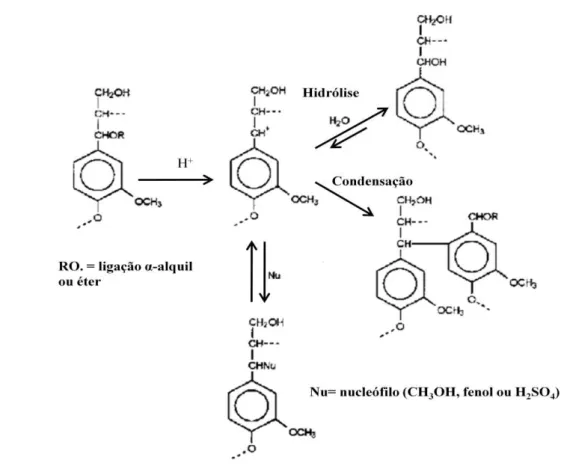 Figura 2.16 - Reação de condensação entre os fragmentos solubilizados de lignina (adaptado  de BIANCHI, 1995)