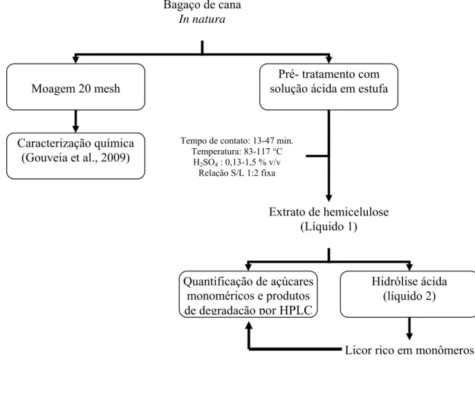 Figura 3.1 Fluxograma de trabalho para pré-tratamento ácido para bagaço in natura. 