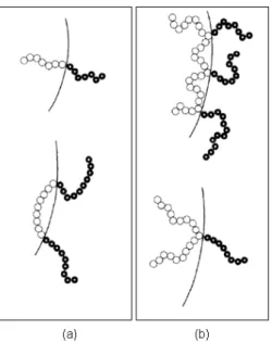 Figura 2.5 - Compatibilização de uma blenda polimérica imiscível empregando  copolímeros em bloco (a) e enxertados (b)
