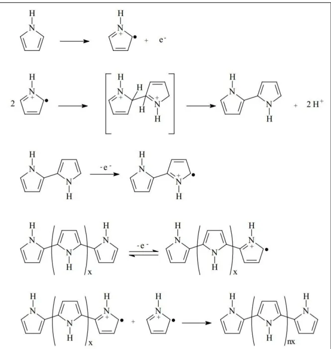 FIGURA 1.3 – Esquema do mecanismo de polimerização do pirrol (DIAZ et al.,  1983). 