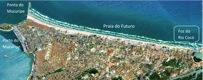 Figura 01  –  Vista por satélite da Praia do Futuro, em Fortaleza (CE). 