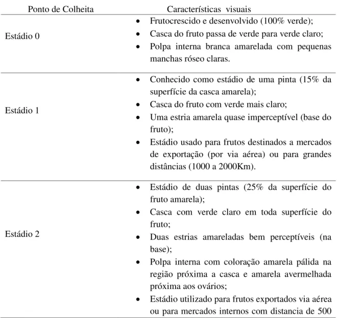 Tabela  2  –   Descrição  das  principais  características  visuais  nos  diferentes  estádios  de  maturação dos frutos de mamão (Carica papaya L.) 