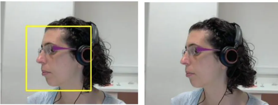 Figure 3.10 On the left side the Profile detection and on the right side the original picture 