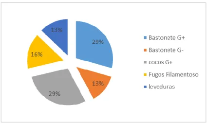 Figura 4 - percentual de microrganismos isolados 