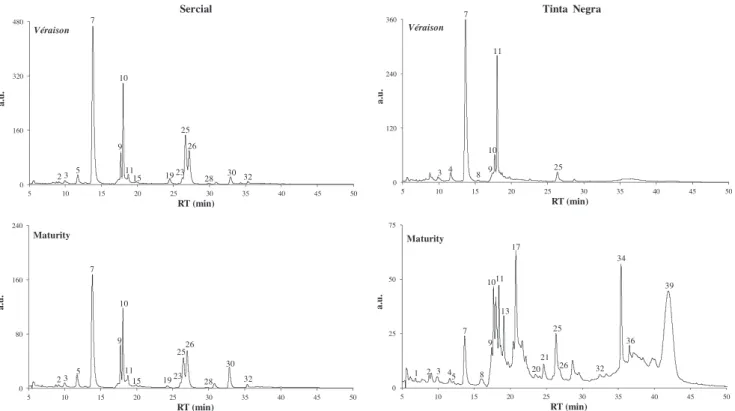 Fig. 2. HPLC–DAD chromatograms in Sercial and Tinta Negra grape skins at different ripening stages (véraison and maturity) recorded at signal of 360 nm