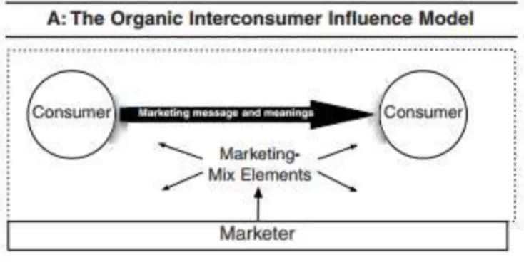 Figure 8 – The organic interconsumer influence model