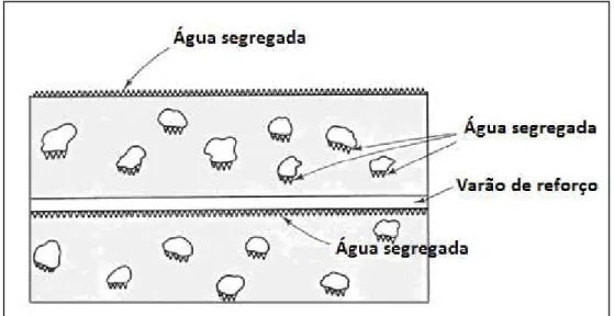 Figura 3-Exsudação no betão (adaptado de (Mindess, et al., 1981)) 