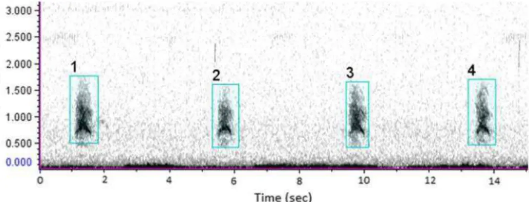 Figure  1.    Sound  spectrogram  of  a  sequence  of  four  maned  wolf  roar-barks  selected  in  Raven  Pro 1.4.