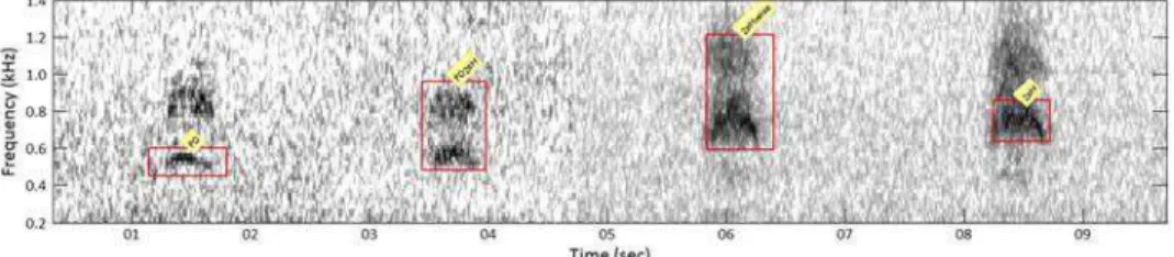 Figure 2.      XBAT sound spectrogram showing the selections of the four templates used