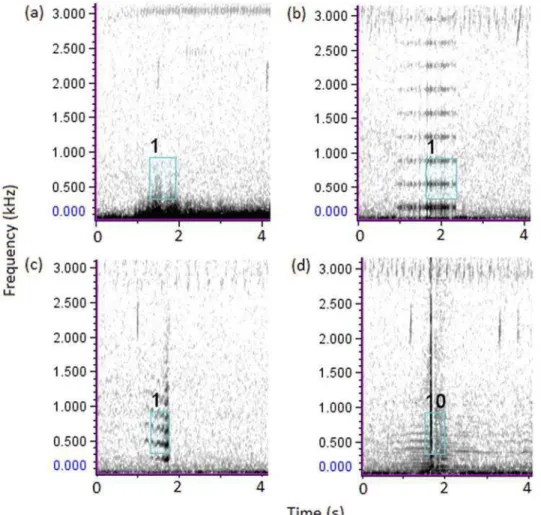 Figure 6.   Sound spectrograms exemplifying  Raven’s false positives. (a) Wind, (b) recording system  self-noise, (c) insect flying nearby and (d) insect hitting the microphone