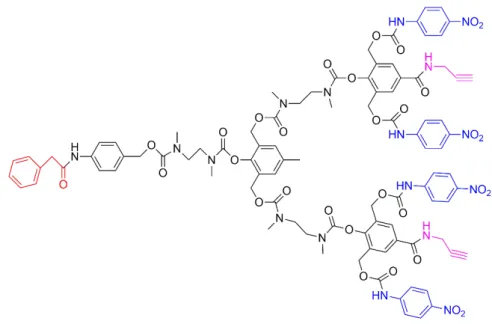 Figure 3: Structure of a dendritic molecule as a drug delivery system (47). 