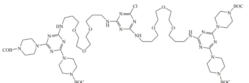 Figure 13: The macromonomer was used by Enciso et al. in which the BOC-piperazine is used to  protect the –NH 2  groups (73)