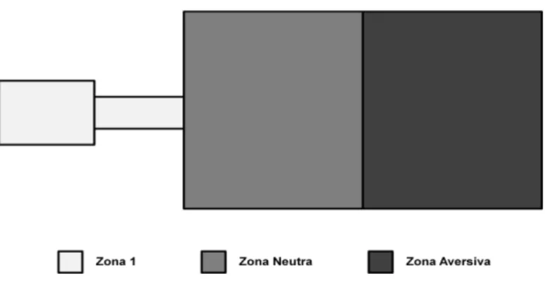 Figura 3 – Esquema representando o aparato experimental utilizado, mostrando como foi dividido para  análise espacial do comportamento