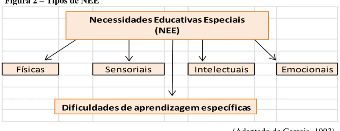 Figura 2  –  Tipos de NEE