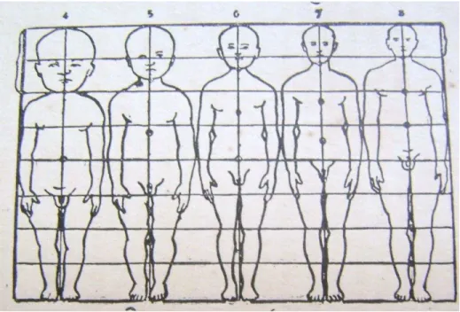 Fig. 12 Quadro de proporção das diferentes partes do corpo nas diversas faixas etárias