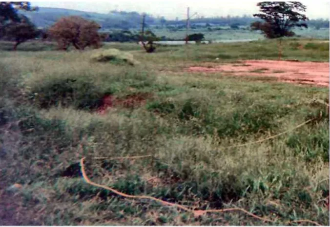 Figura 6: Vista do local antes da construção da quadra com o antigo campo de futebol. 