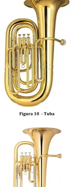 Figura   10      -­‐   Tuba   
