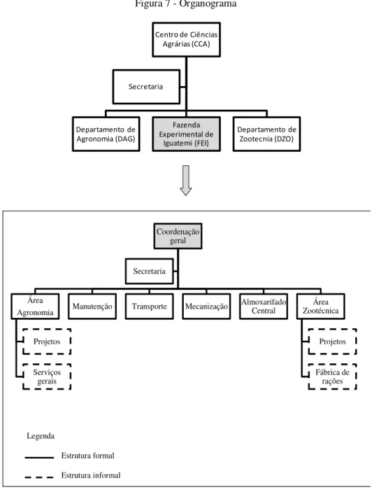 Figura 7 - Organograma 
