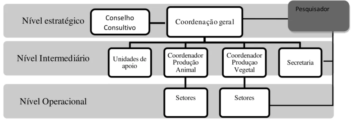 Figura 8 – Relação hierárquica 