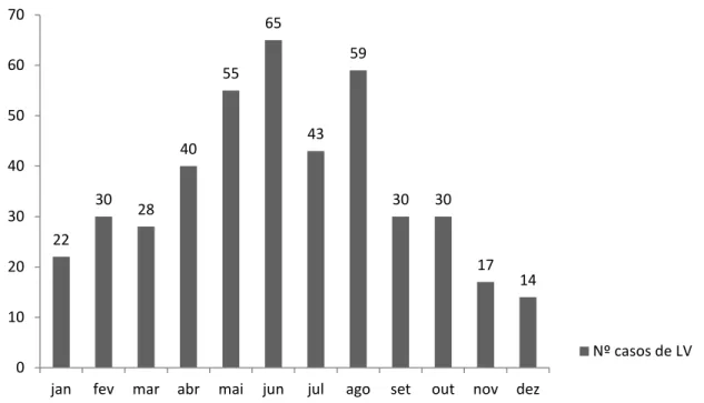 Gráfico 3 - Distribuição mensal de casos autóctones de LV humana, segundo o  mês de início dos sintomas em São Luís/MA, 2001 a 2013