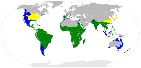 Figura 2. Distribuição geográfica de Bubulcus ibis. Em amarelo: áreas de ocorrência  apenas na época de reprodução; em azul: áreas de ocorrência, sem registros de  reprodução; e em verde: áreas de ocorrência e de reprodução