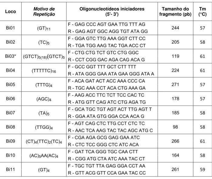 Tabela 4. Descrição dos oligonucleotídeos iniciadores desenhados para os 32 locos de  microssatélites em Bubulcus ibis