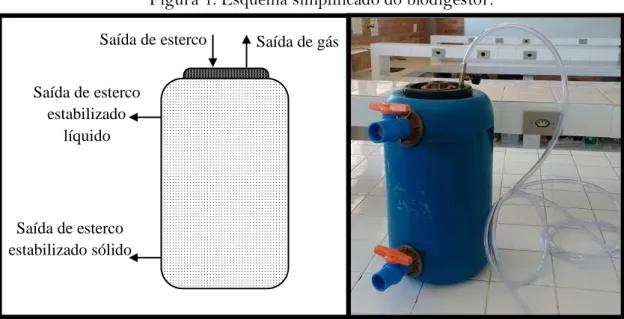 Figura 1. Esquema simplificado do biodigestor. 