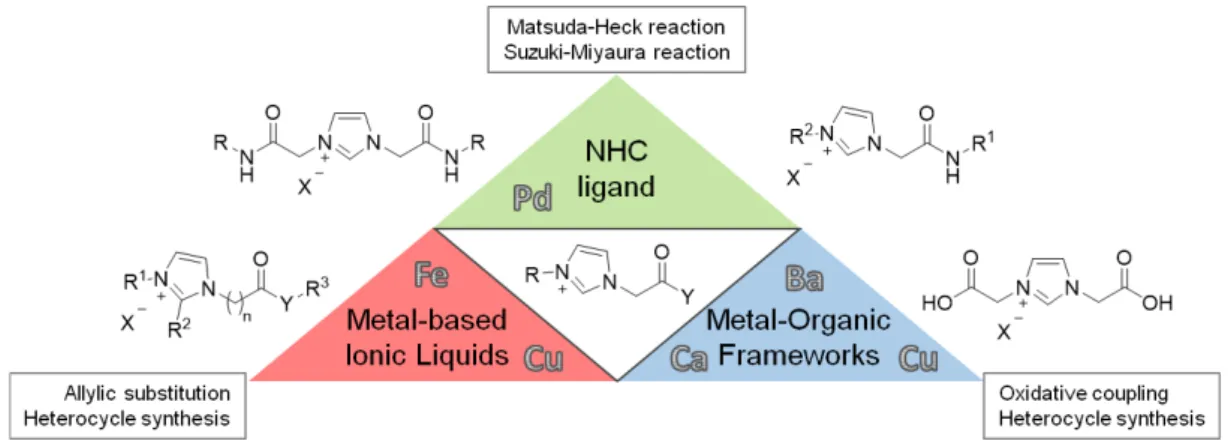 Figure 1: Versatility of catalytic systems based on acyl-functionalized imidazole derivatives