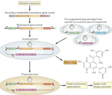 Figure 2. Plug-and-play strategy for heterologous expression of cryptic biosynthetic pathways