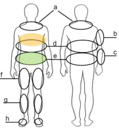 Figure 3.8: The general areas that are consider to be the most unobtrusive for wearable objects.