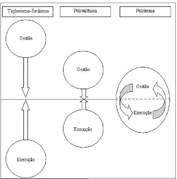 Figura 5: posição dos núcleos de gestão e execução do trabalho nos ambientes do taylorismo- taylorismo-fordismo, da polivalência e da politecnia