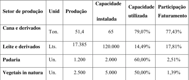 Tabela 2: Dados dos setores de produção da COPAVI em 2010 (média mensal) 