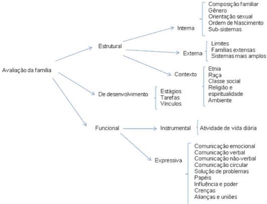 Figura 2 - Diagrama ramificado do Modelo Calgary de Avaliação da Família 