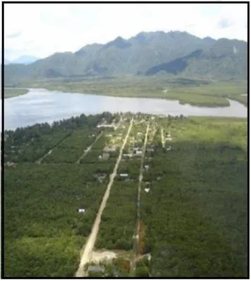 Figura 02 - Vista aérea da comunidade caiçara de Pedrinhas, Ilha Comprida/SP. 