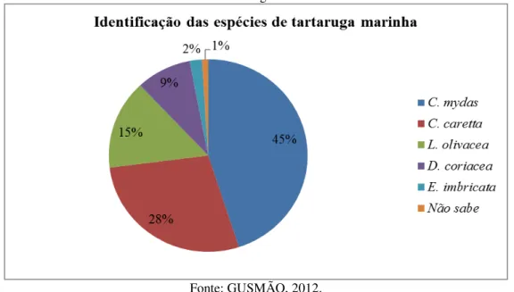 Figura 07 – Identificação das espécies de tartarugas marinhas feitas pelos 60 entrevistados de Pedrinhas através  de imagens