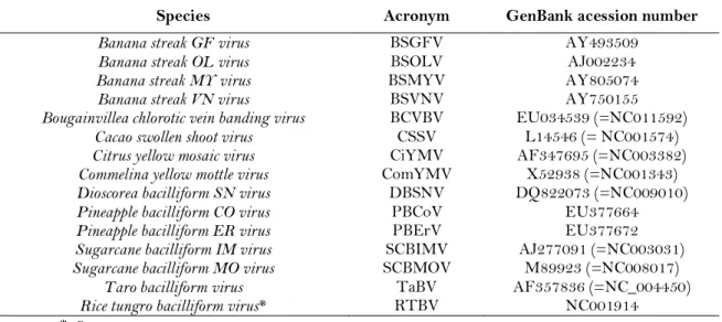 Table 2. List of Badnavirus and Tungrovirus species used for pairwise sequence identity  comparisons  and  phylogenetic  analysis,  with  their  respective  acronyms  and  GenBank  accession number