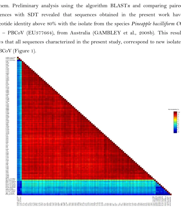 Figure  1.  Pairwise  comparison  of  the  nucleotide  sequences  from  the  RT/RNaseH  region  from  isolates  in  the  present  study  and  other  species  of  the  genus  Badnavirus  available in the GenBank and one species of the genus Tungrovirus