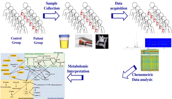Figure 1.17 shows the workflow of the main steps involved in the metabolomic  analysis  for  this  PhD  thesis