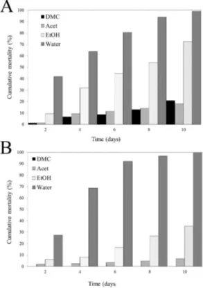 Figure 3.3 P. goodeyi cumulative mortality for 10 days in S. sisymbriifolium (A) and S