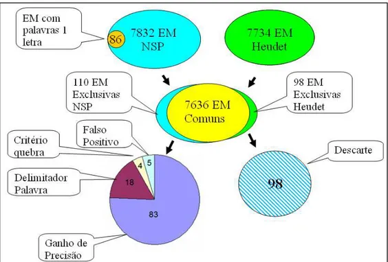 Figura 4. Processo de análise das EM obtidas. 