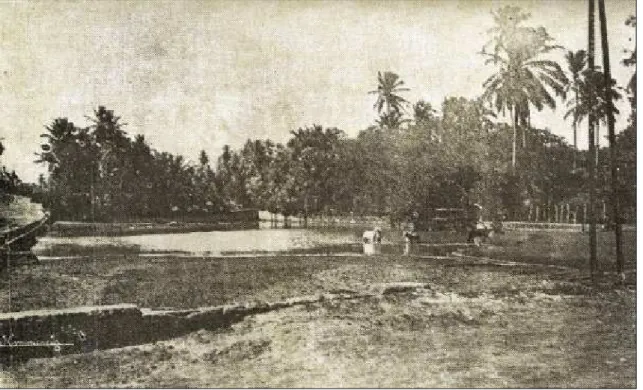 Figura 02 – Vista do Baldo. Fonte: CICCO, 1920. 