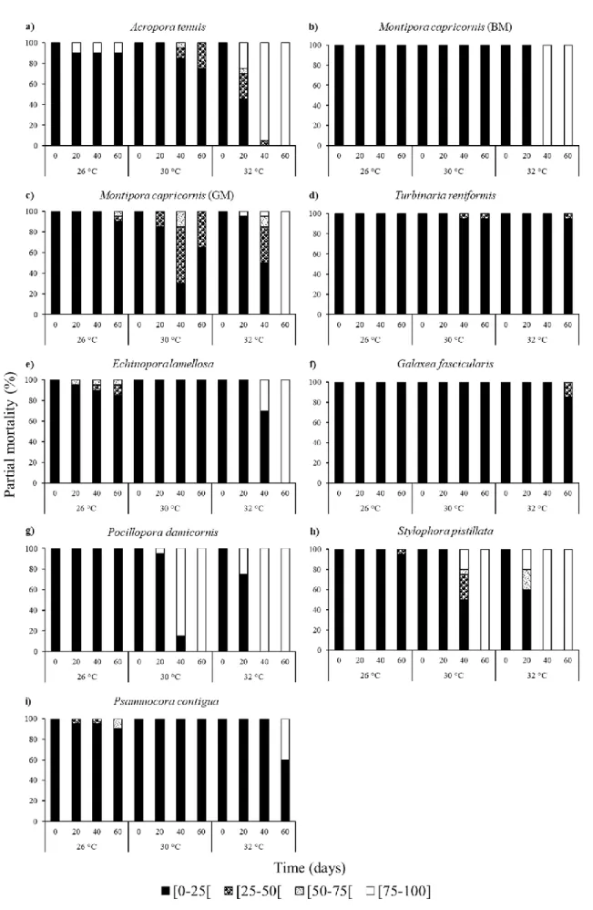 Figure 2.2. Partial mortality of the coral species’ fragments studied throughout the three temperature experiments separated in  percentage classes [0,25%[, [25,50%[, [50,75%[ and [75,100%]