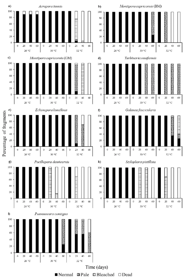 Figure 2.3. Bleaching level of the coral species’ fragments studied throughout the three temperature experiments