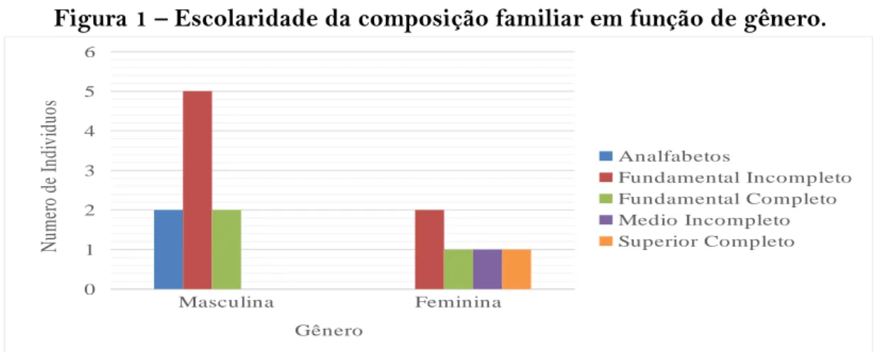 Figura 1 – Escolaridade da composição familiar em função de gênero.