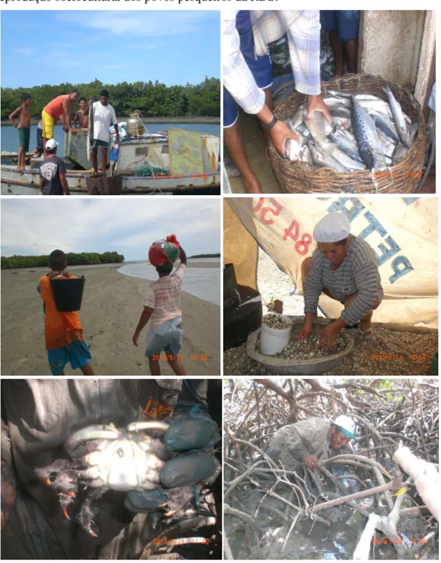 Figura  7:  Destaque  para  a  importância  dos  recursos  naturais  para  manutenção  da  reprodução sociocultural dos povos pesqueiros da RDS