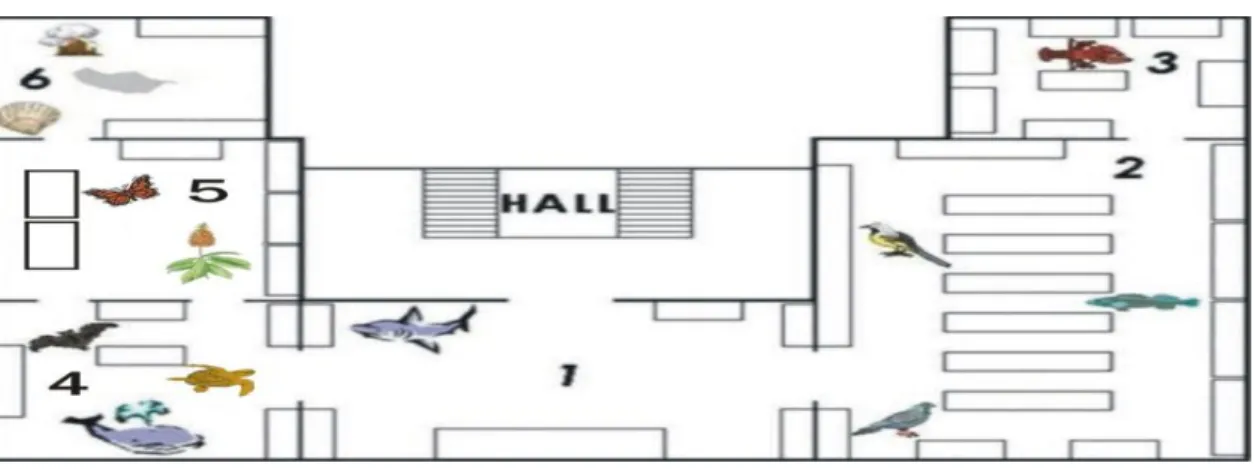 Figura 1 - Mapa da sala de Exposição Permanente do MHN-Funchal   Fonte: MHN-Funchal 